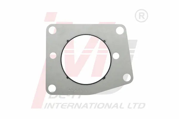 Cummins 4928575 Fuel Pump Gasket